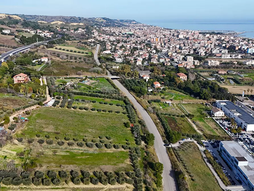 Immagine 4 di Terreno agricolo in vendita  in Contrada Monte Aquilino snc a San Benedetto Del Tronto