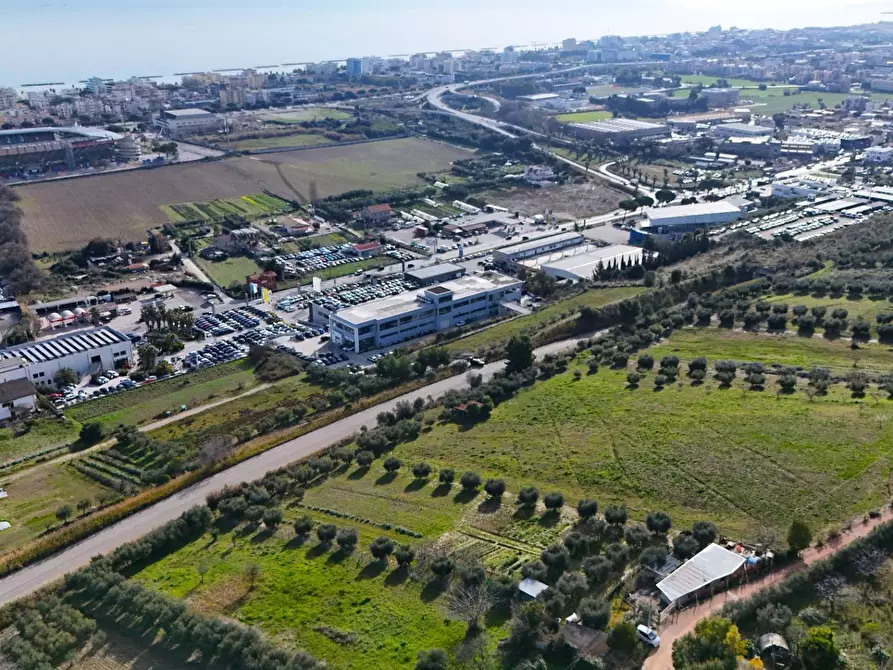 Immagine 5 di Terreno agricolo in vendita  in Contrada Monte Aquilino snc a San Benedetto Del Tronto