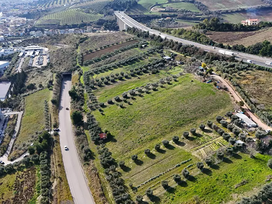 Immagine 7 di Terreno agricolo in vendita  in Contrada Monte Aquilino snc a San Benedetto Del Tronto