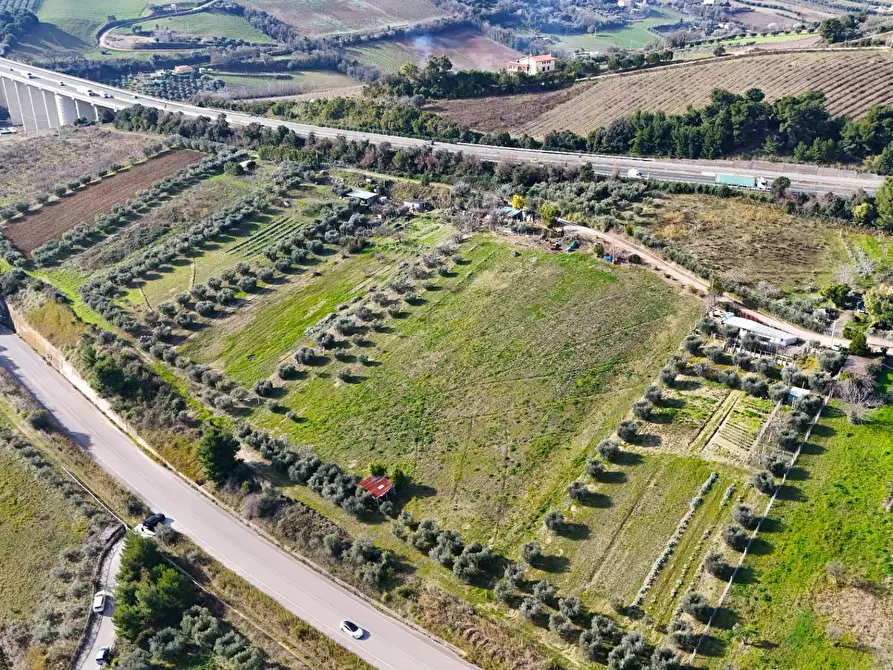 Immagine 8 di Terreno agricolo in vendita  in Contrada Monte Aquilino snc a San Benedetto Del Tronto