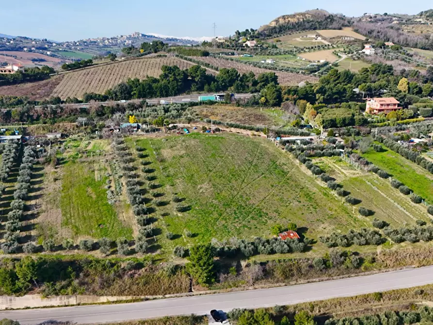 Immagine 9 di Terreno agricolo in vendita  in Contrada Monte Aquilino snc a San Benedetto Del Tronto