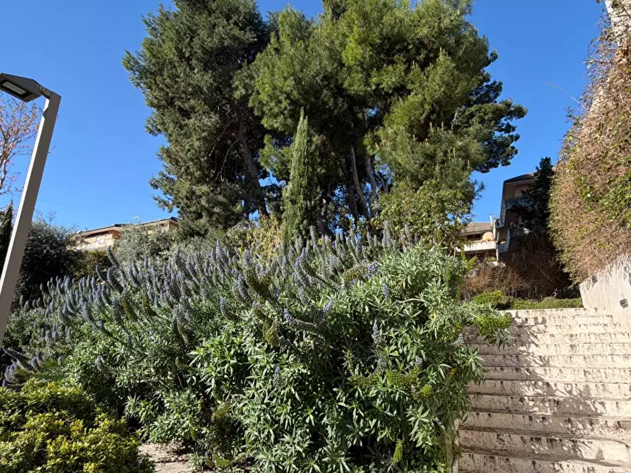 Immagine 42 di Appartamento in vendita  in Via P.S. Damiani 4 a San Benedetto Del Tronto