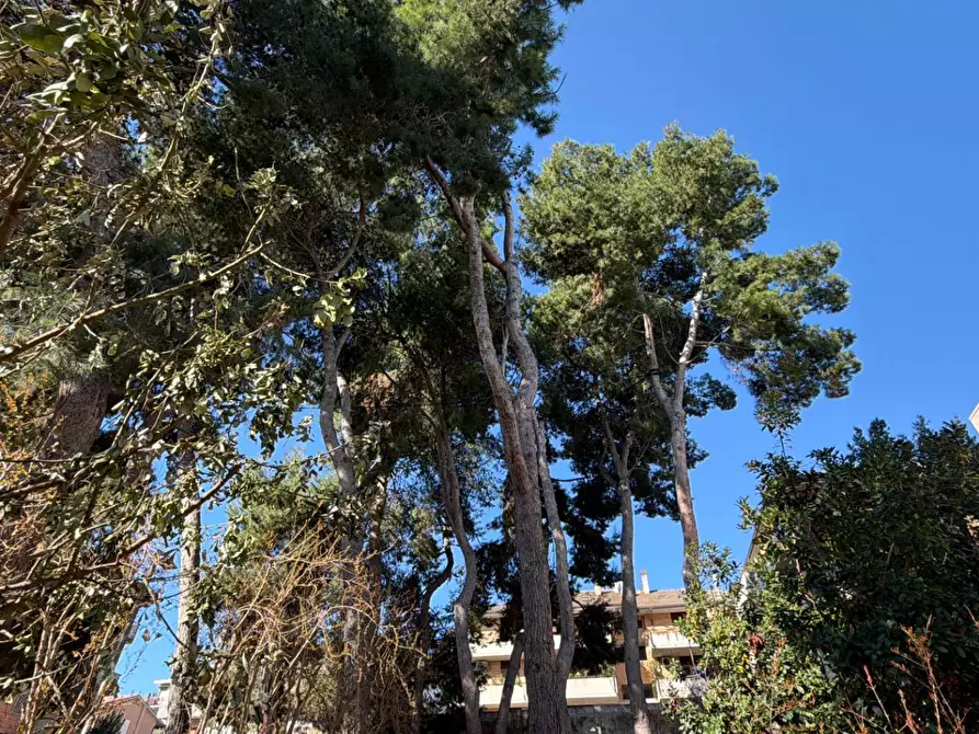 Immagine 44 di Appartamento in vendita  in Via P.S. Damiani 4 a San Benedetto Del Tronto