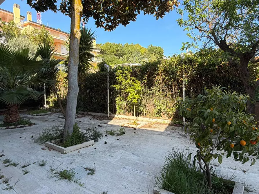 Immagine 18 di Villa in vendita  in Via dei Ligustri 55 a Grottammare