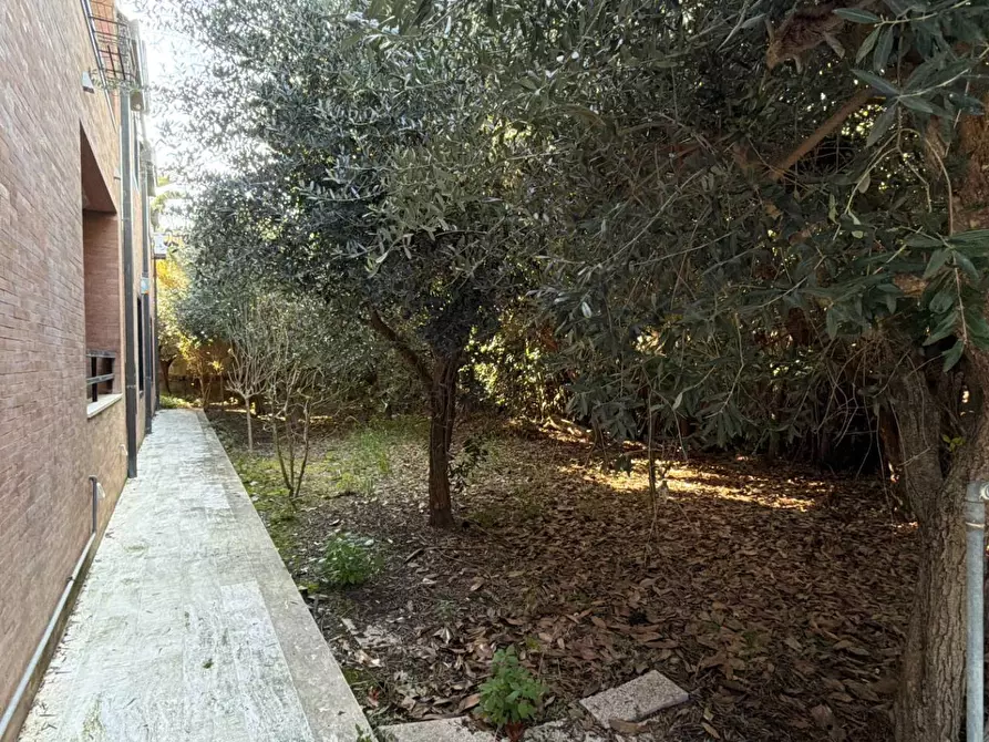 Immagine 32 di Villa in vendita  in Via dei Ligustri 55 a Grottammare