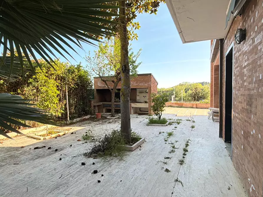 Immagine 33 di Villa in vendita  in Via dei Ligustri 55 a Grottammare