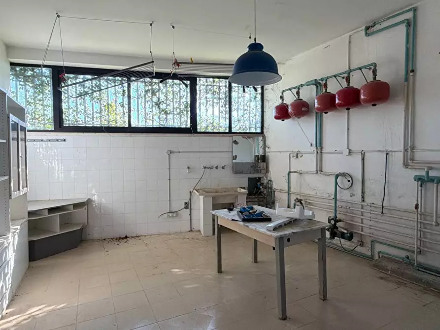 Immagine 27 di Villa in vendita  in Via dei Ligustri 55 a Grottammare