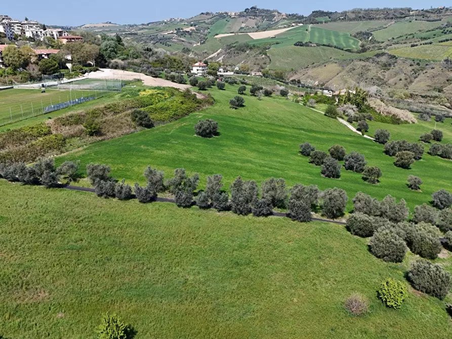 Immagine 1 di Terreno residenziale in vendita  in Contrada Bora Ragnola a Monteprandone