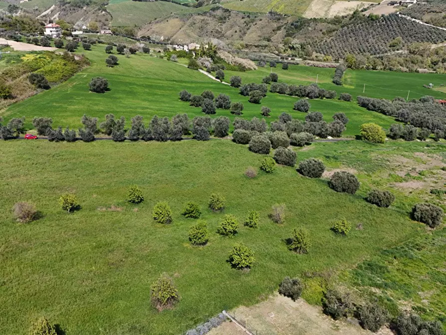 Immagine 13 di Terreno residenziale in vendita  in Contrada Bora Ragnola a Monteprandone
