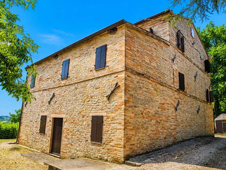 Immagine 3 di Rustico / casale in vendita  in contrada Castellarso Ete a Belmonte Piceno
