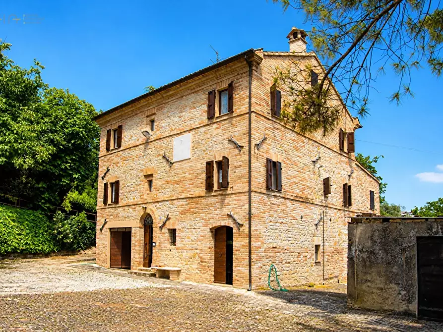 Immagine 4 di Rustico / casale in vendita  in contrada Castellarso Ete a Belmonte Piceno