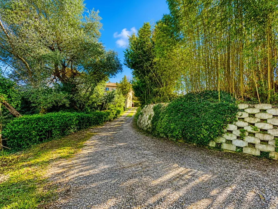 Immagine 5 di Rustico / casale in vendita  in contrada Castellarso Ete a Belmonte Piceno