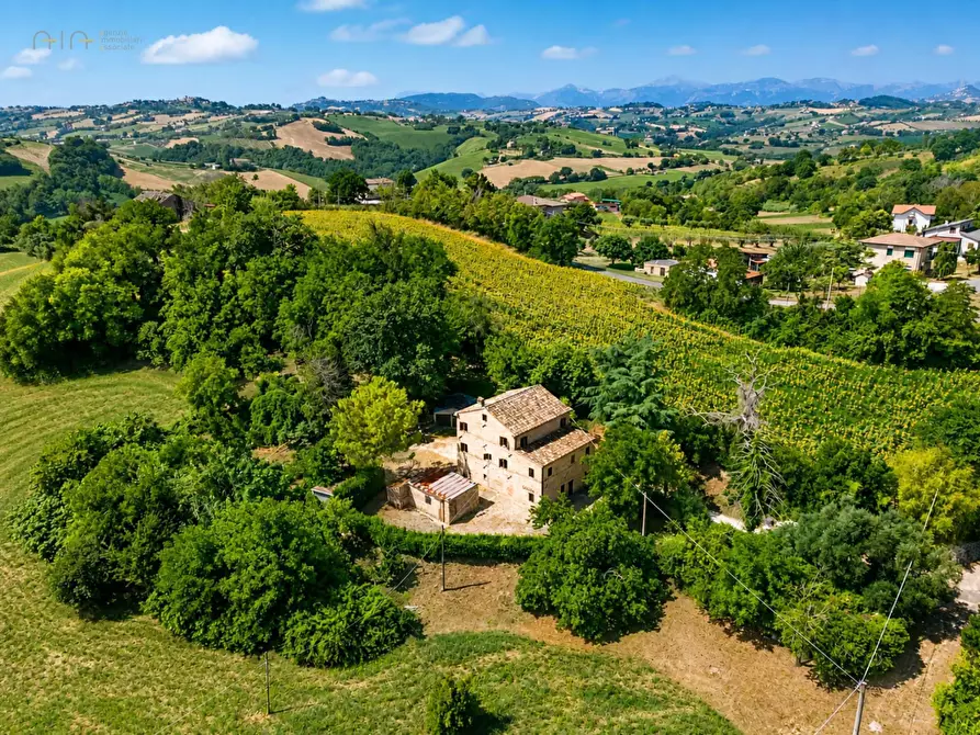 Immagine 6 di Rustico / casale in vendita  in contrada Castellarso Ete a Belmonte Piceno