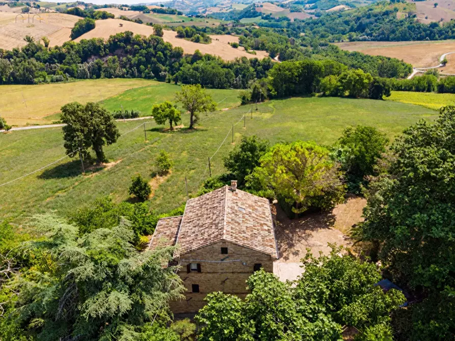 Immagine 7 di Rustico / casale in vendita  in contrada Castellarso Ete a Belmonte Piceno