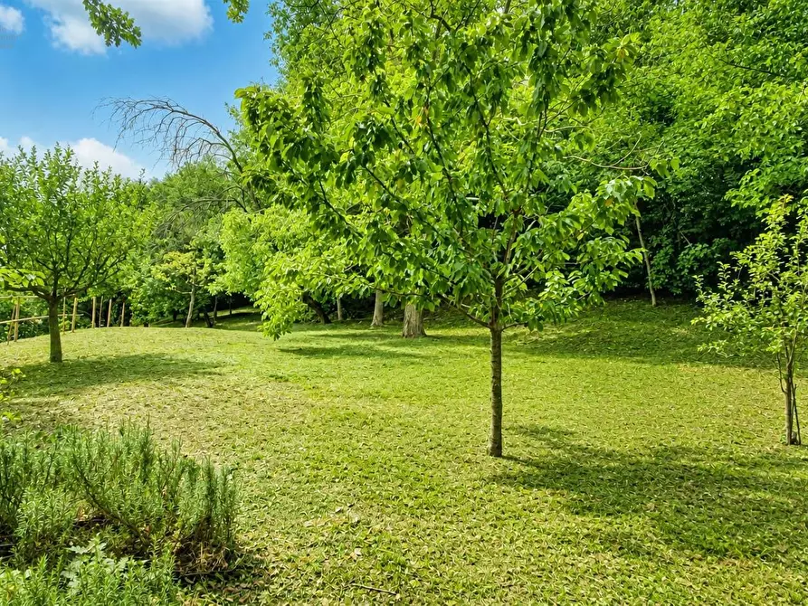 Immagine 25 di Rustico / casale in vendita  in contrada Castellarso Ete a Belmonte Piceno