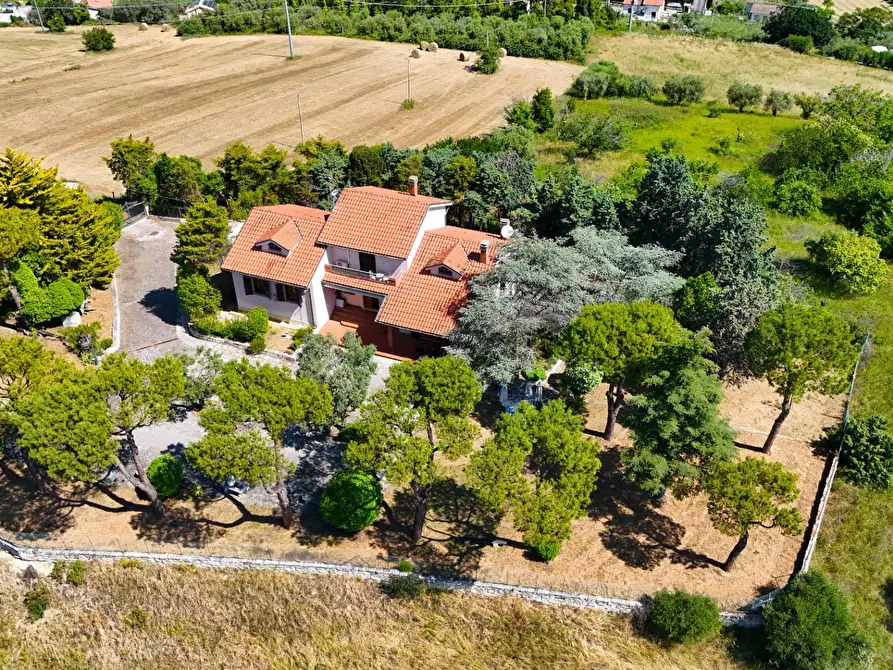 Immagine 37 di Villa in vendita  in Contrada Colle Sant'Angelo 18 a Monteprandone