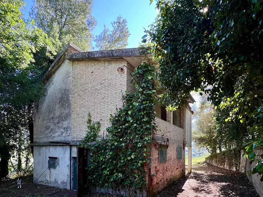 Immagine 4 di Rustico / casale in vendita  in Contrada Messieri snc a Ripatransone