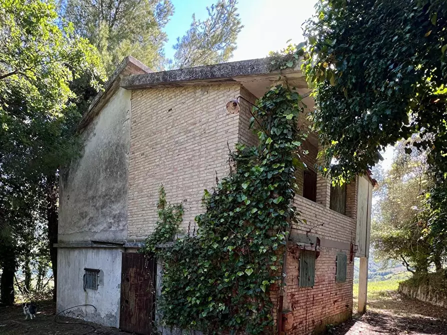 Immagine 5 di Rustico / casale in vendita  in Contrada Messieri snc a Ripatransone