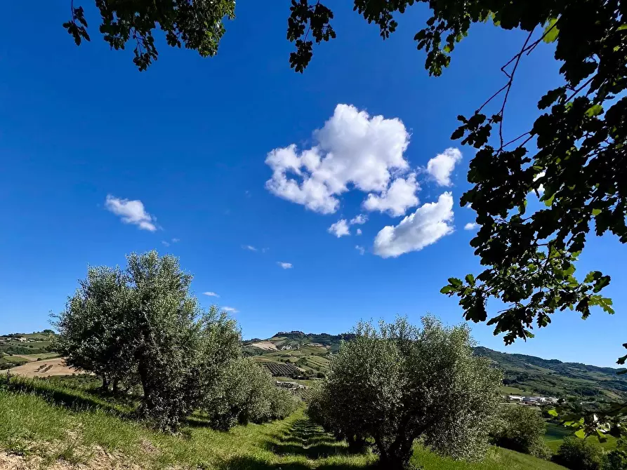 Immagine 3 di Rustico / casale in vendita  in Contrada Messieri snc a Ripatransone