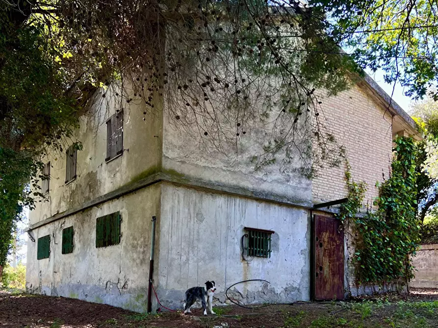 Immagine 8 di Rustico / casale in vendita  in Contrada Messieri snc a Ripatransone
