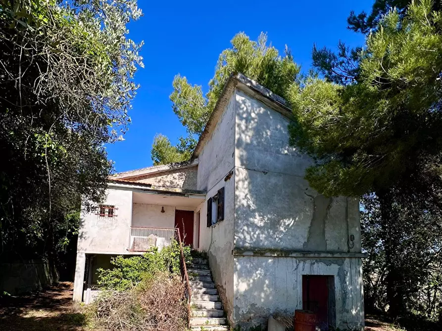 Immagine 1 di Rustico / casale in vendita  in Contrada Messieri snc a Ripatransone