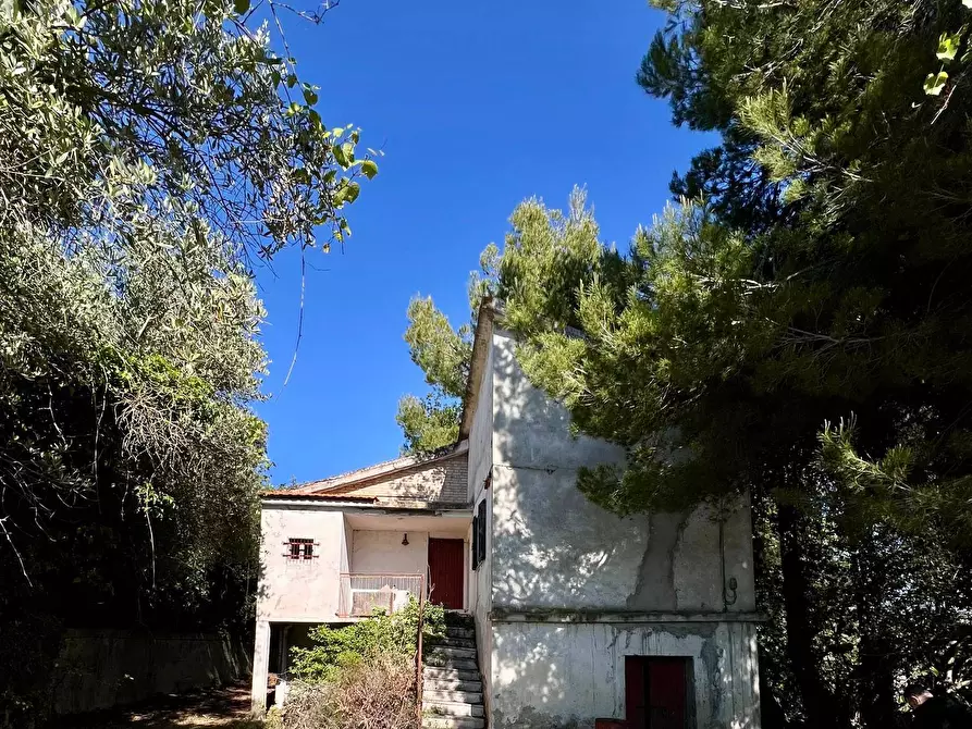 Immagine 2 di Rustico / casale in vendita  in Contrada Messieri snc a Ripatransone
