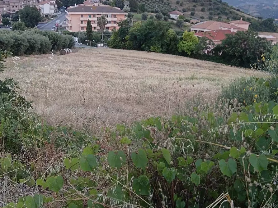 Immagine 5 di Terreno agricolo in vendita  in Via Dell'Acquedotto snc a Tortoreto