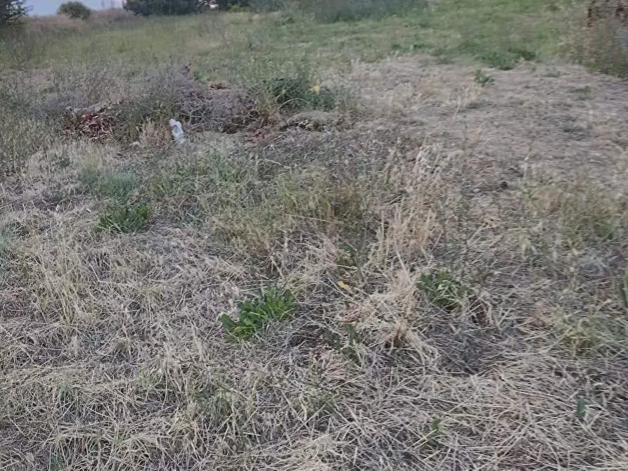 Immagine 7 di Terreno agricolo in vendita  in Via Dell'Acquedotto snc a Tortoreto
