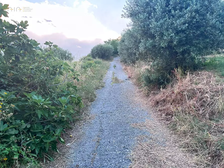 Immagine 13 di Terreno agricolo in vendita  in Via Dell'Acquedotto snc a Tortoreto