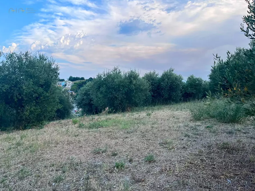 Immagine 14 di Terreno agricolo in vendita  in Via Dell'Acquedotto snc a Tortoreto