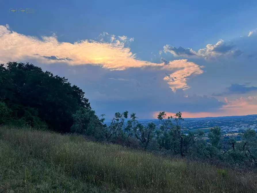 Immagine 4 di Terreno agricolo in vendita  in Via Dell'Acquedotto snc a Tortoreto