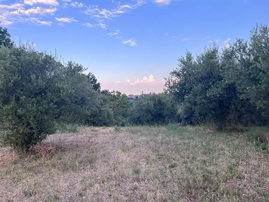 Immagine 3 di Terreno agricolo in vendita  in Via Dell'Acquedotto snc a Tortoreto