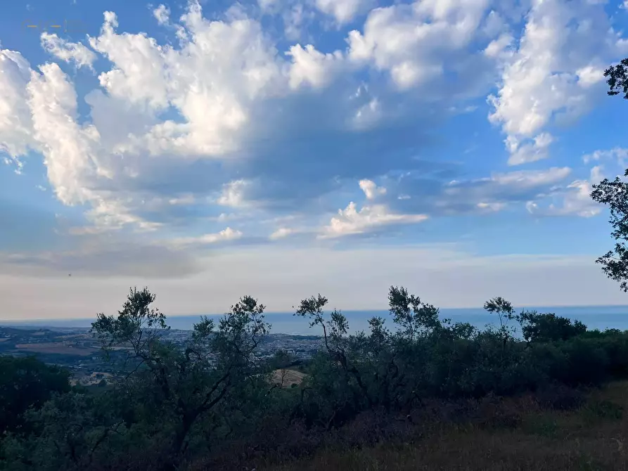 Immagine 17 di Terreno agricolo in vendita  in Via Dell'Acquedotto snc a Tortoreto