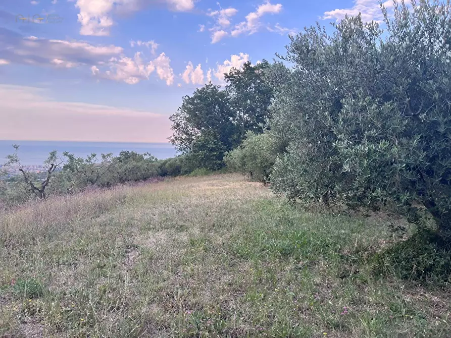 Immagine 19 di Terreno agricolo in vendita  in Via Dell'Acquedotto snc a Tortoreto