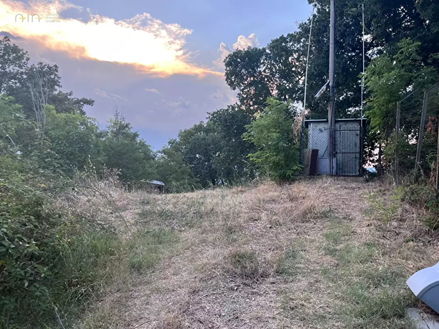 Immagine 22 di Terreno agricolo in vendita  in Via Dell'Acquedotto snc a Tortoreto
