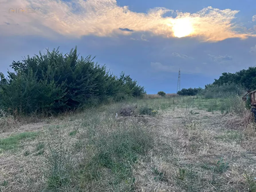 Immagine 24 di Terreno agricolo in vendita  in Via Dell'Acquedotto snc a Tortoreto