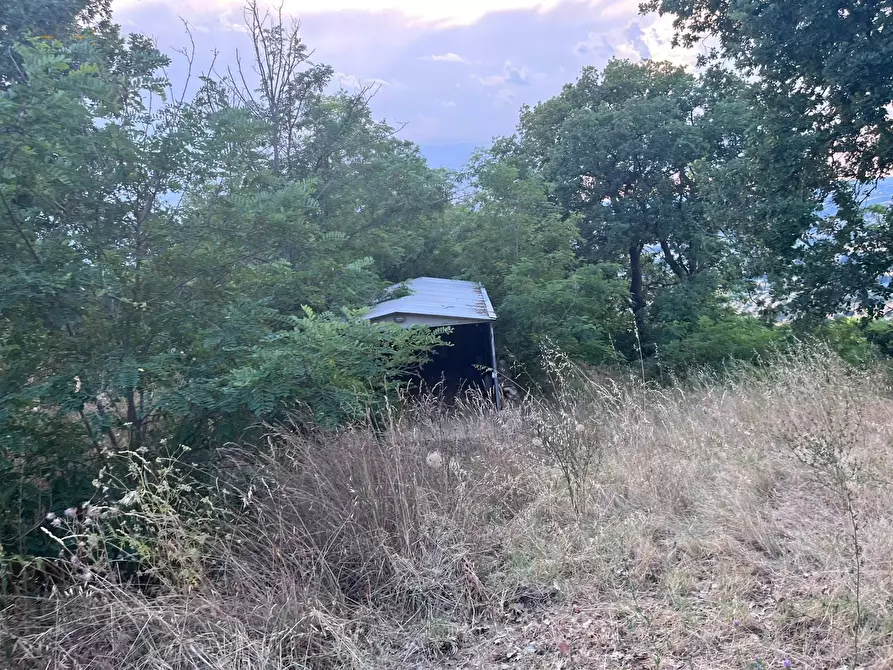 Immagine 25 di Terreno agricolo in vendita  in Via Dell'Acquedotto snc a Tortoreto