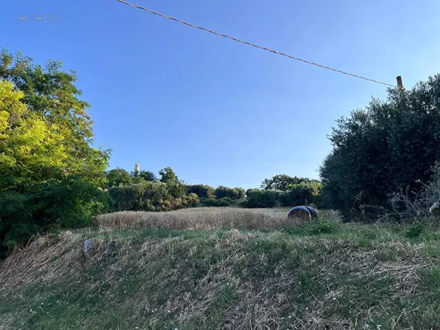 Immagine 2 di Terreno agricolo in vendita  in Via Dell'Acquedotto snc a Tortoreto
