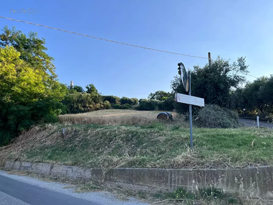 Immagine 10 di Terreno agricolo in vendita  in Via Dell'Acquedotto snc a Tortoreto