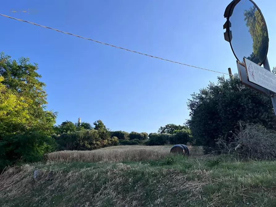Immagine 6 di Terreno agricolo in vendita  in Via Dell'Acquedotto snc a Tortoreto