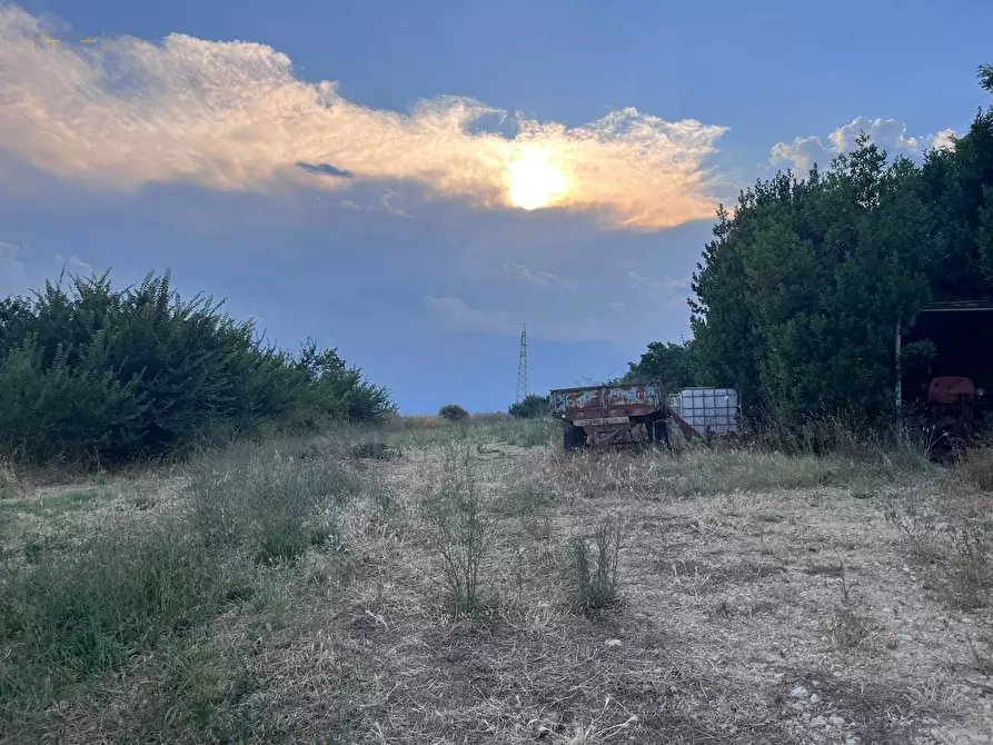Immagine 26 di Terreno agricolo in vendita  in Via Dell'Acquedotto snc a Tortoreto