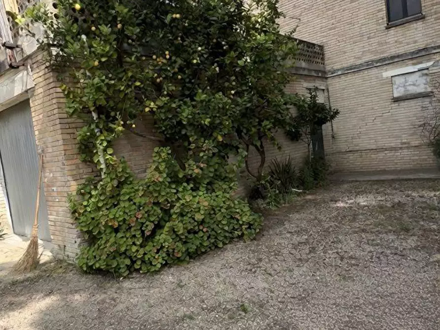 Immagine 15 di Rustico / casale in vendita  in Contrada Tosciano 36 a Ripatransone