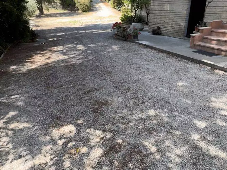 Immagine 16 di Rustico / casale in vendita  in Contrada Tosciano 36 a Ripatransone