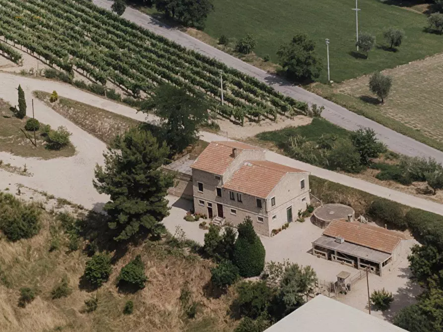 Immagine 1 di Rustico / casale in vendita  in Contrada Tosciano 36 a Ripatransone