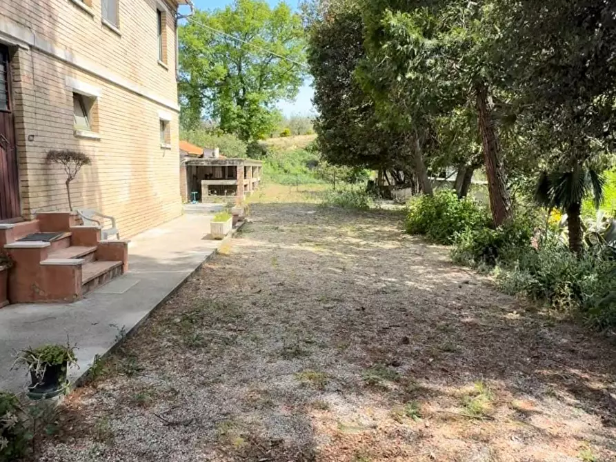 Immagine 3 di Rustico / casale in vendita  in Contrada Tosciano 36 a Ripatransone