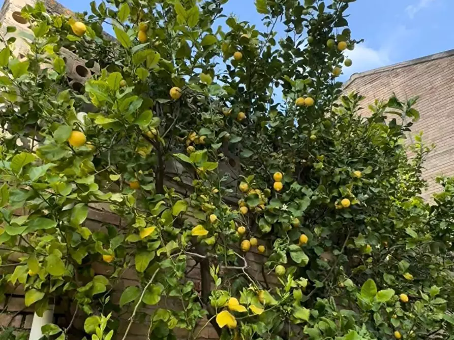 Immagine 22 di Rustico / casale in vendita  in Contrada Tosciano 36 a Ripatransone