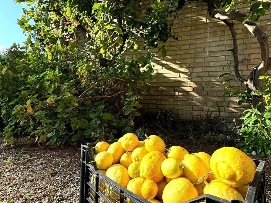 Immagine 23 di Rustico / casale in vendita  in Contrada Tosciano 36 a Ripatransone