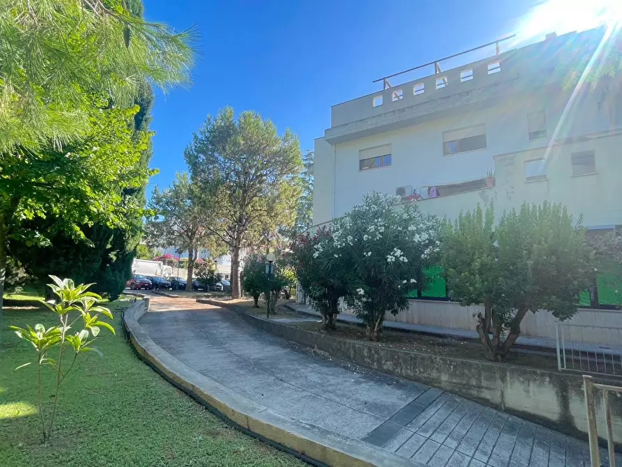 Immagine 30 di Appartamento in vendita  in Piazza Kolbe 6 a San Benedetto Del Tronto