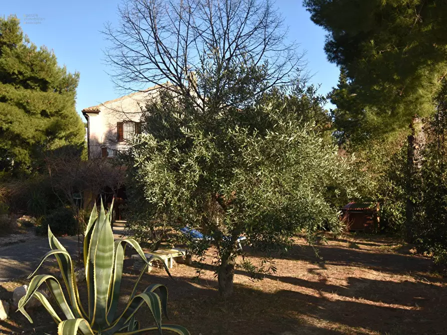 Immagine 12 di Villa in vendita  in Contrada Pianacciole a Ripatransone