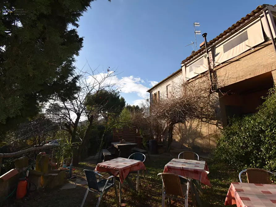 Immagine 15 di Villa in vendita  in Contrada Pianacciole a Ripatransone